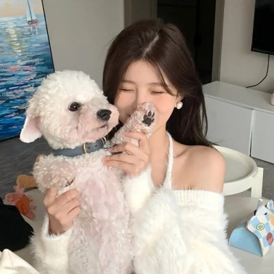 天才麻将少女：阿知贺篇